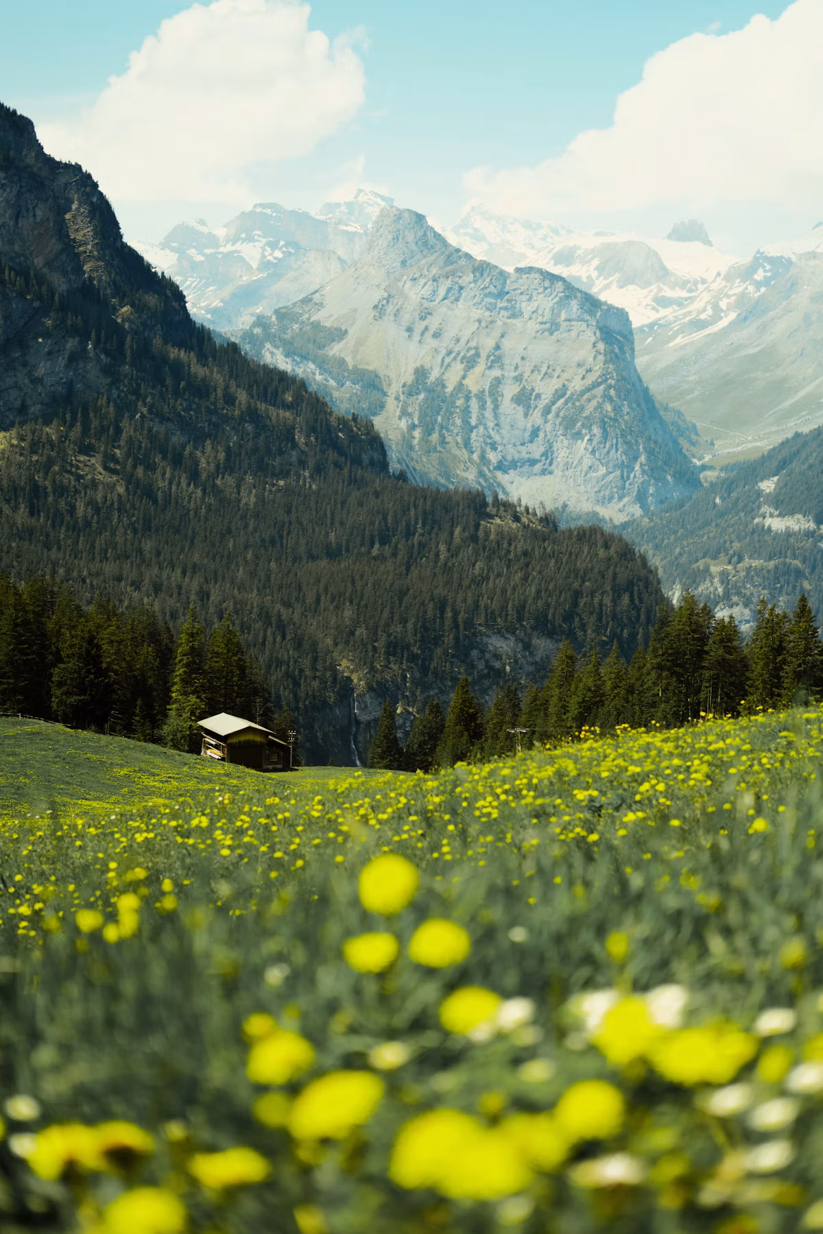 The Alpine Renaissance Route | Western Europe Neuschwanstein Castle + Cinque Terre + Rome 7-Day 6-Night Private Journey