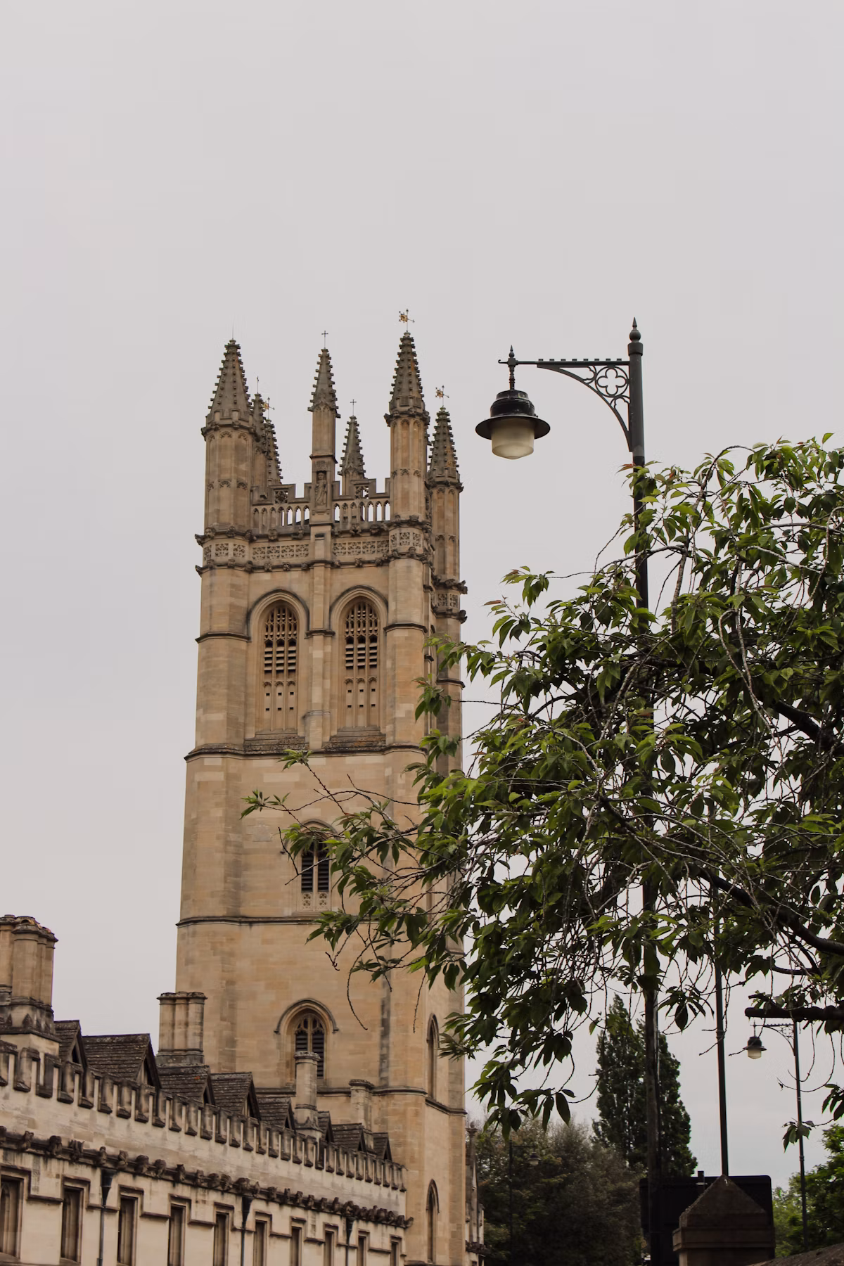 Downton Abbey Illuminated Journey | Private Day Tour of Highclere Castle, Christ Church Oxford & Bampton Village