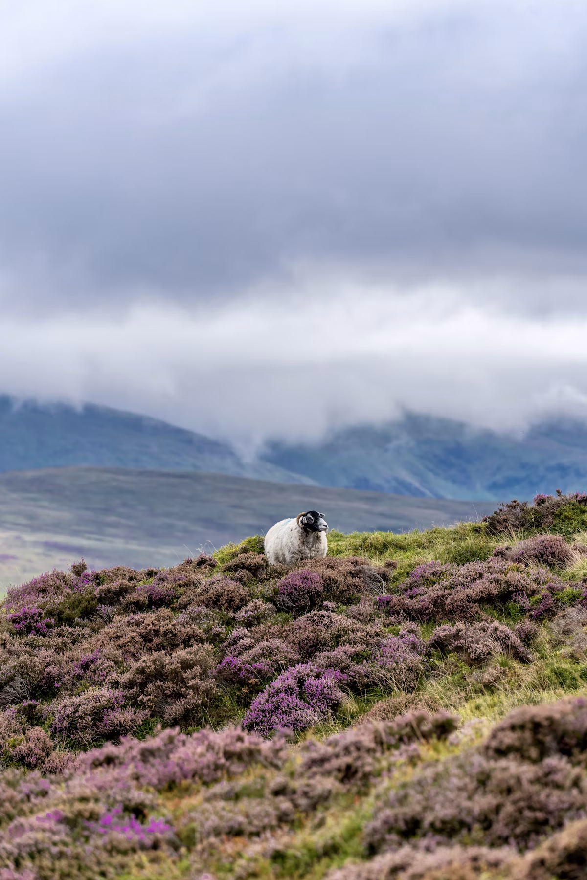 Lake District Secrets & Industrial Poetry | United Kingdom: Kirkstone Pass, Windermere & Castlerigg Stone Circle | 3-Day Private Journey